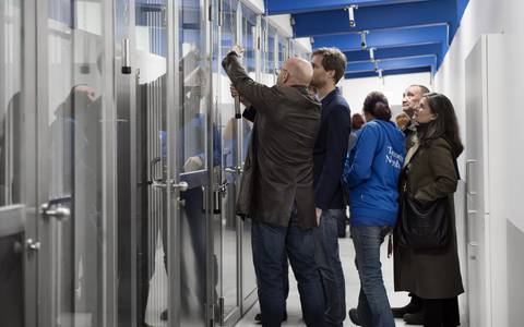 Bild: Zug am Seilsystem für Klappensteuerung